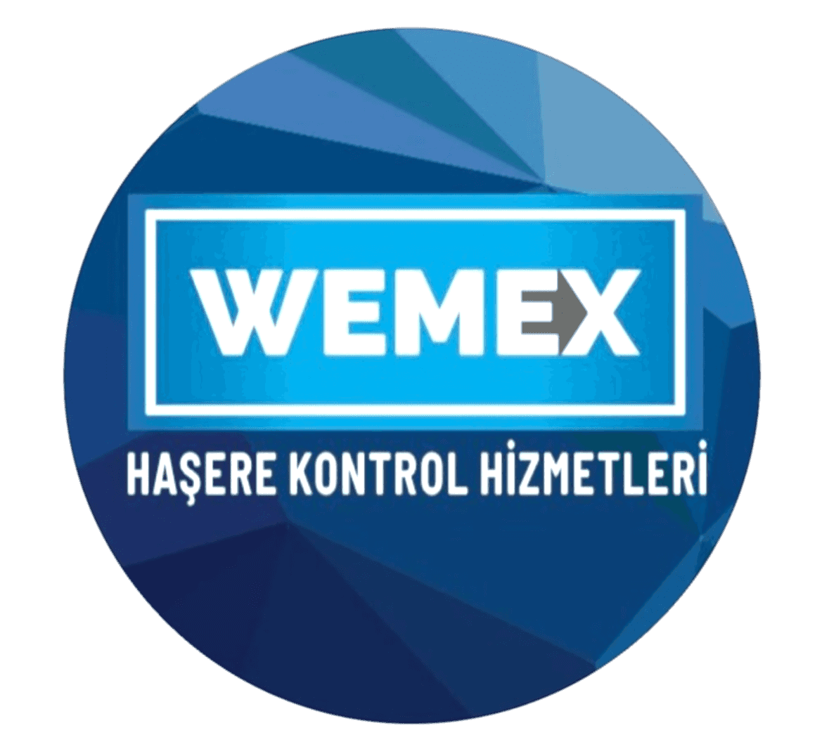 WEMEX Hakkımızda